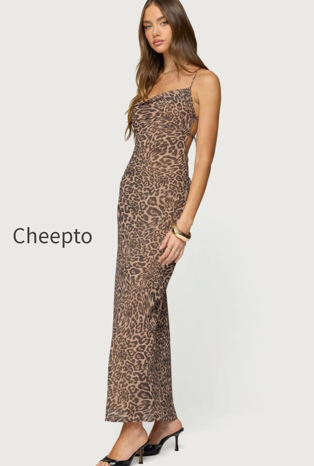 s22704_leopard