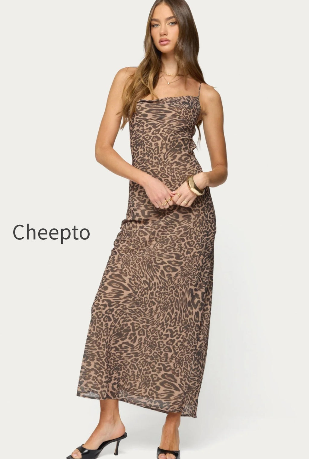 s22704_leopard