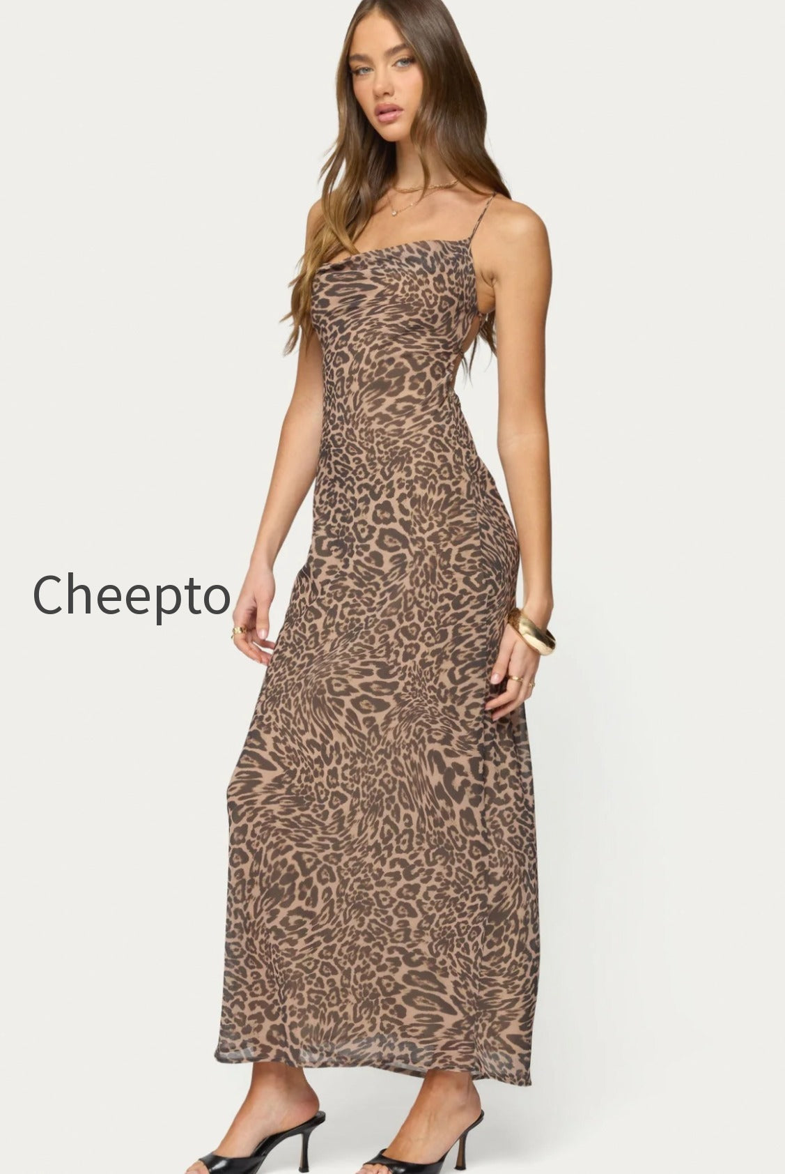 s22704_leopard